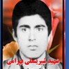 شیرینعلی بهرامی.jpg